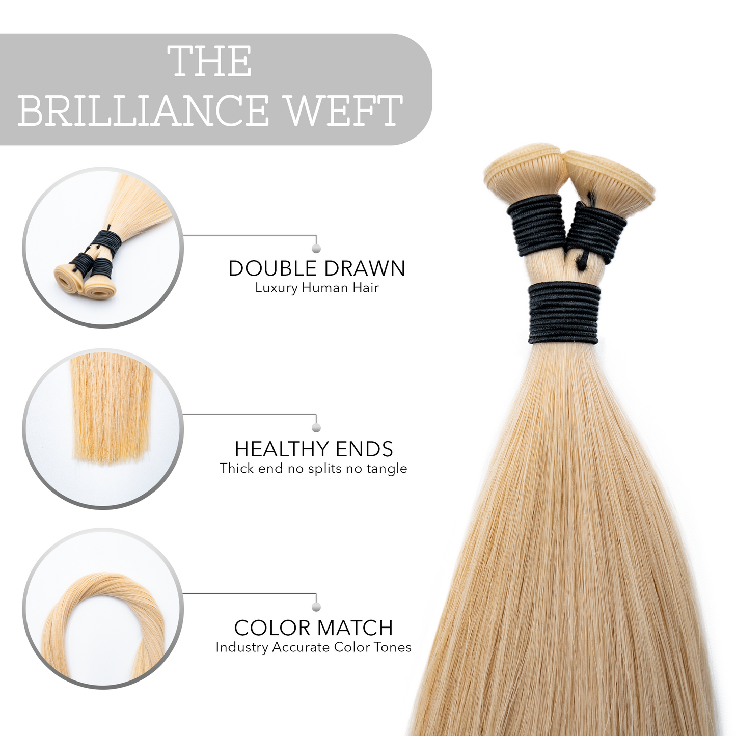 Weft: Salida