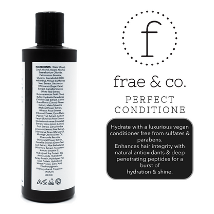 Perfect Conditioner