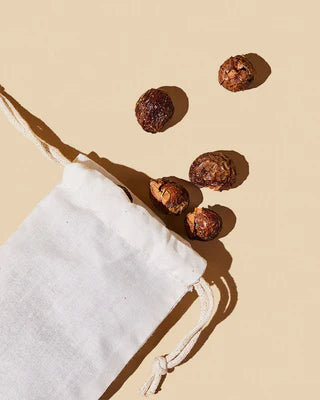 REIN BOTANIK| Laundry Soap Nuts
