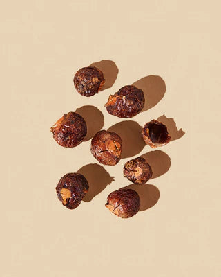 REIN BOTANIK| Laundry Soap Nuts